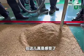 参观大国粮仓是什么样的体验？一起来中储粮威海库乳山分库看看吧视频封面