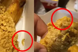 肯德基点的餐里吃出蠕动的活虫？肯德基：不可能，准备报警处理视频封面