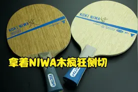 1000元底板神器—Victas「niwa碳素和niwa木」谁是真正侧切神器？视频封面