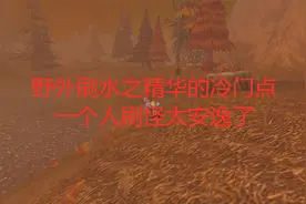 魔兽世界怀旧服野外刷水之精华的冷门点，一个人刷怪太安逸了视频封面