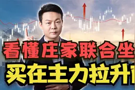 主力资金联合坐庄手法揭秘，2分钟干货4种方法，散户看懂跟着吃肉视频封面