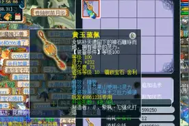 梦幻西游：老王给专用项链点化变身术套装，一次成功，这太合适了