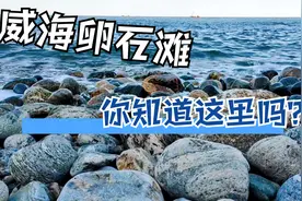威海有一个比较有趣的地方，一个遍布卵石的海滩，我又来捡石头了