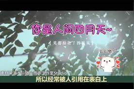 你是人间四月天~视频封面