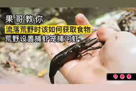 荒野求生：当你流落荒野时该如何获取食物？小哥教你野外捕获食物