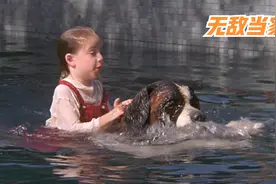 女孩收留了一只聪明的狗狗，却不知它救了他们一家人，温情电影视频封面
