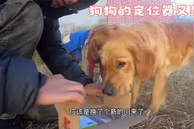 一番周折，重新换货的狗狗定位器到了，捣鼓半天依旧无信号！无语视频封面