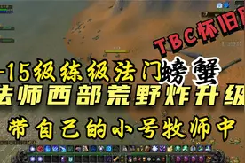 魔兽世界怀旧服：用法师带小号快速升级，西部荒野炸螃蟹视频封面