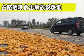 农民占路晒粮引发交通事故，责任该怎么划分？看完涨知识了视频封面