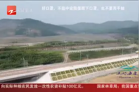 时速385公里！合杭高铁湖杭段开启最高测试速度等级提速试验视频封面