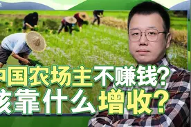 中美农场主收入差距有多大？美国农场主都是怎么赚钱的？视频封面