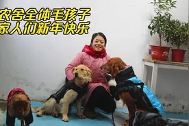 过大年吃饺子，狗狗们激动的手舞足蹈太兴奋了，差点连盆都吃掉视频封面