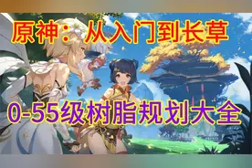 原神：0-55级树脂体力细分规划 细分各类角色培养顺序 树脂体力篇