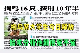 掏鸟大学生今日刑满释放，事件始末分析他到底冤不冤？视频封面