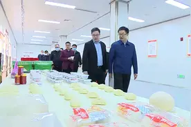 马宇骏在栾城区调研检查视频封面