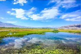 不敢偷懒，因为我还要生活。我能放弃选择，但是我不能选择放弃。视频封面