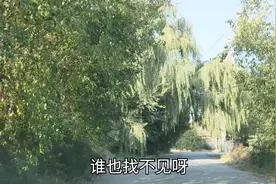 开着导航去太原南站东广场，看一看把我带到了哪里！视频封面