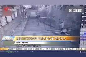 成都13岁男孩疑猥亵多名女童 警方介入视频封面