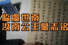 临虞世南汝南公主墓志铭视频封面
