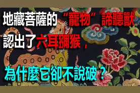 只有地藏菩萨的“宠物”谛听兽，认出了六耳猕猴，为什么它不说？视频封面