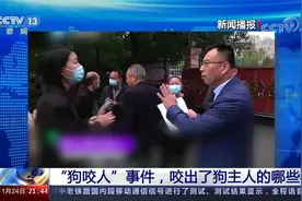 主人俩月后才道歉 记者9次跟进失望落泪 安阳狗咬人事件权威梳理视频封面