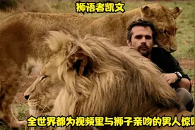 雄狮在他面前就像小猫，狮语者凯文，跨越了人类与猛兽鸿沟的男人视频封面