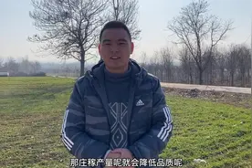俗语“冬至西北风，来年干一春”，居然还和农作物有关，有道理吗