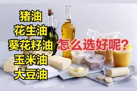 猪油，大豆油，花生油，葵花籽油，玉米油选择哪种油好呢？视频封面