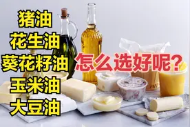 猪油，大豆油，花生油，葵花籽油，玉米油选择哪种油好呢？视频封面