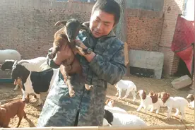 小羊腿折不用接骨，大平教的简单小绑腿，关键时候还蛮有用视频封面