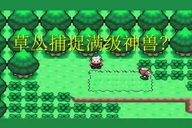 口袋妖怪，最离谱的改版草丛捕捉满级魔改神兽，小瑶看到直接吓尿视频封面