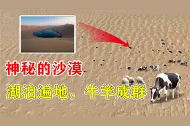 巴丹吉林沙漠——中国神奇沙漠！湖泊遍地芦苇环绕，一片世外桃源视频封面