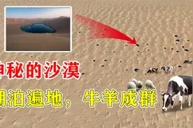 巴丹吉林沙漠——中国神奇沙漠！湖泊遍地芦苇环绕，一片世外桃源视频封面