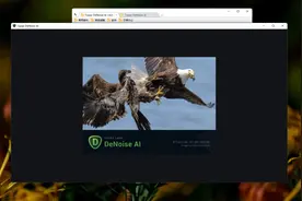 Topaz DeNoise AI 汉化版安装方法