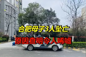 悲剧！合肥一母子三人清晨从24楼坠亡，原因查明令人唏嘘视频封面