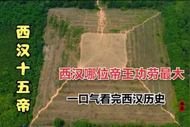 西汉十五帝，公元前202年刘邦在山东定陶称帝，一口气看完西汉史视频封面