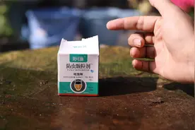 养花长虫子了怎么办？园艺师教你，用吡虫啉，什么虫子都能灭掉视频封面