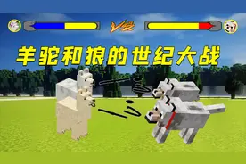 我的世界：狼VS羊驼，却活不过3秒！丛林之王该换了！