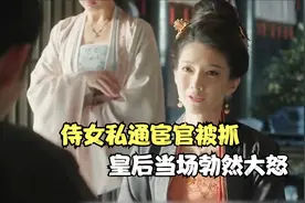 皇后侍女私通宦官，丹姝欲将嬛儿赶出宫，却造就帝后感情疏远视频封面