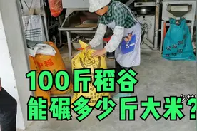 来看农村碾米全过程，到底100斤稻谷能碾多少斤大米？您知道吗？视频封面