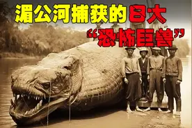 湄公河捕获的8大“恐怖巨兽” 食人鲶重达600斤 有的得用卡车运送