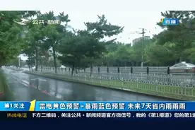 雷电黄色预警、暴雨蓝色预警齐发！吉林省未来一周降雨集中视频封面