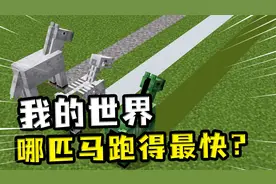 我的世界：哪匹马跑得最快，田忌赛马，骷髅马和僵尸马都是下等马