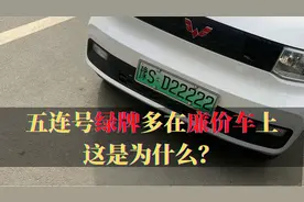 3万五菱挂五连号，绿牌很吸睛，为何很多牛牌在家用车上？