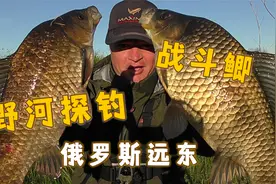 俄罗斯远东农村的小野河探钓 这鲫鱼不愧是战斗鲫 金黄个又大视频封面