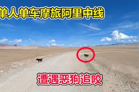 单人单车摩旅阿里中线，遭遇藏獒犬追咬，选择停车跟它对峙视频封面