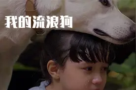 一个会算数的小狗帮主人带娃 陪主人练瑜伽 《我的流浪狗》（上）视频封面