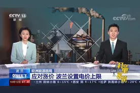 波兰政府为中小企业、学校、医院等设置电价上限视频封面