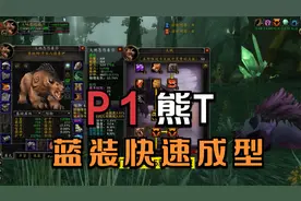 魔兽世界TBC:谁说熊T不行的？有这几件蓝装，可直接进军klz！视频封面