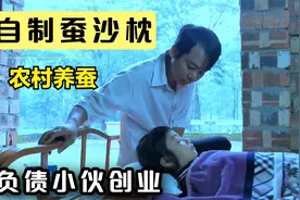 蚕宝宝拉出的排泄物，又名蚕沙或蚕砂，在家就可以做的蚕沙枕头视频封面